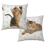 Rachael Hale 'Cute Kittens Malika' - Cushion Cover
