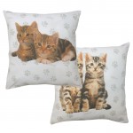 Rachael Hale 'Cute Kittens Ollie' - Cushion Cover