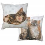 Rachael Hale 'Cute Kittens Hana' - Cushion Cover